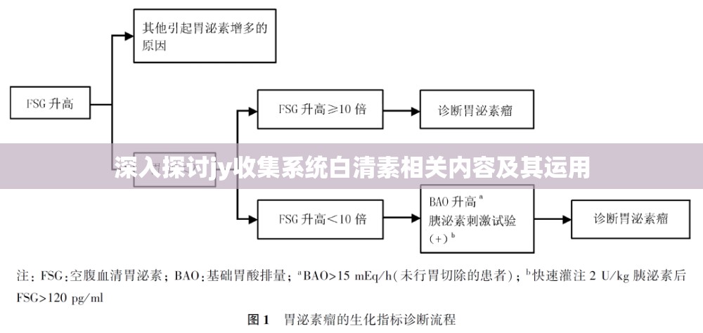 深入探讨jy收集系统白清素相关内容及其运用