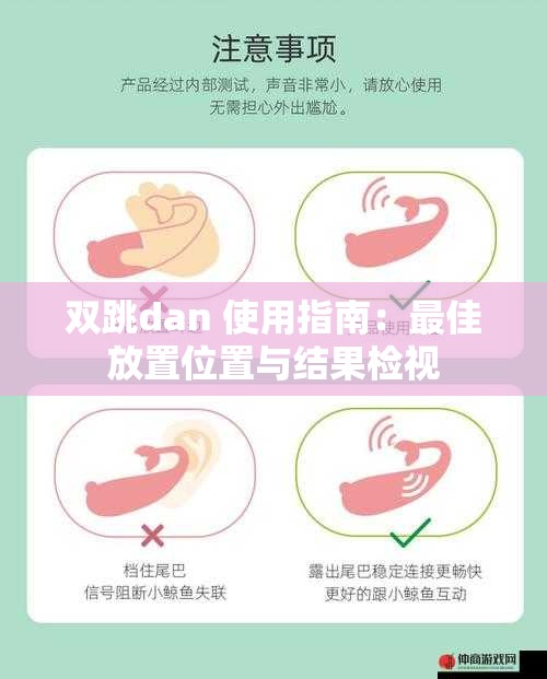 双跳dan 使用指南：最佳放置位置与结果检视