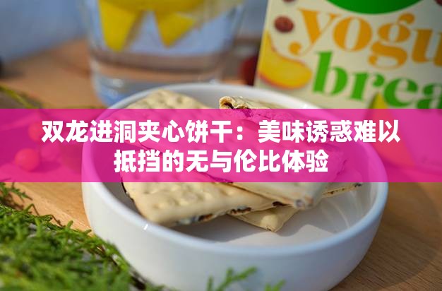 双龙进洞夹心饼干：美味诱惑难以抵挡的无与伦比体验