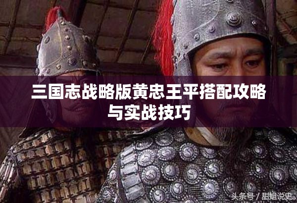 三国志战略版黄忠王平搭配攻略与实战技巧