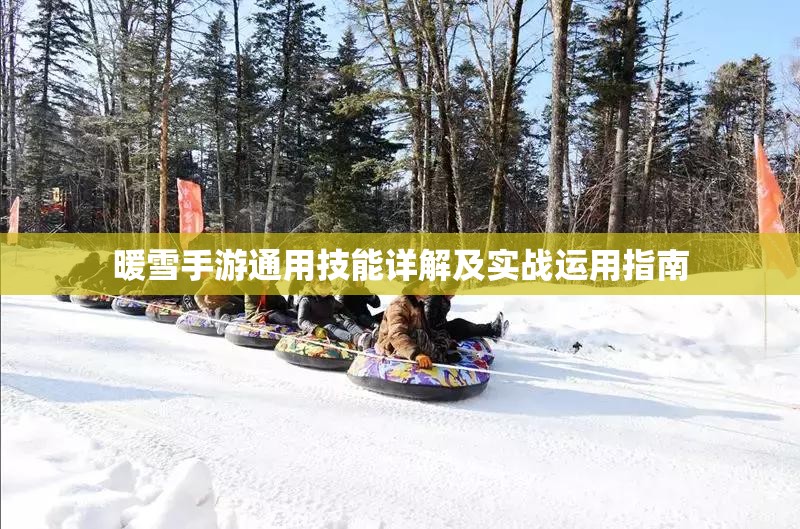 暖雪手游通用技能详解及实战运用指南